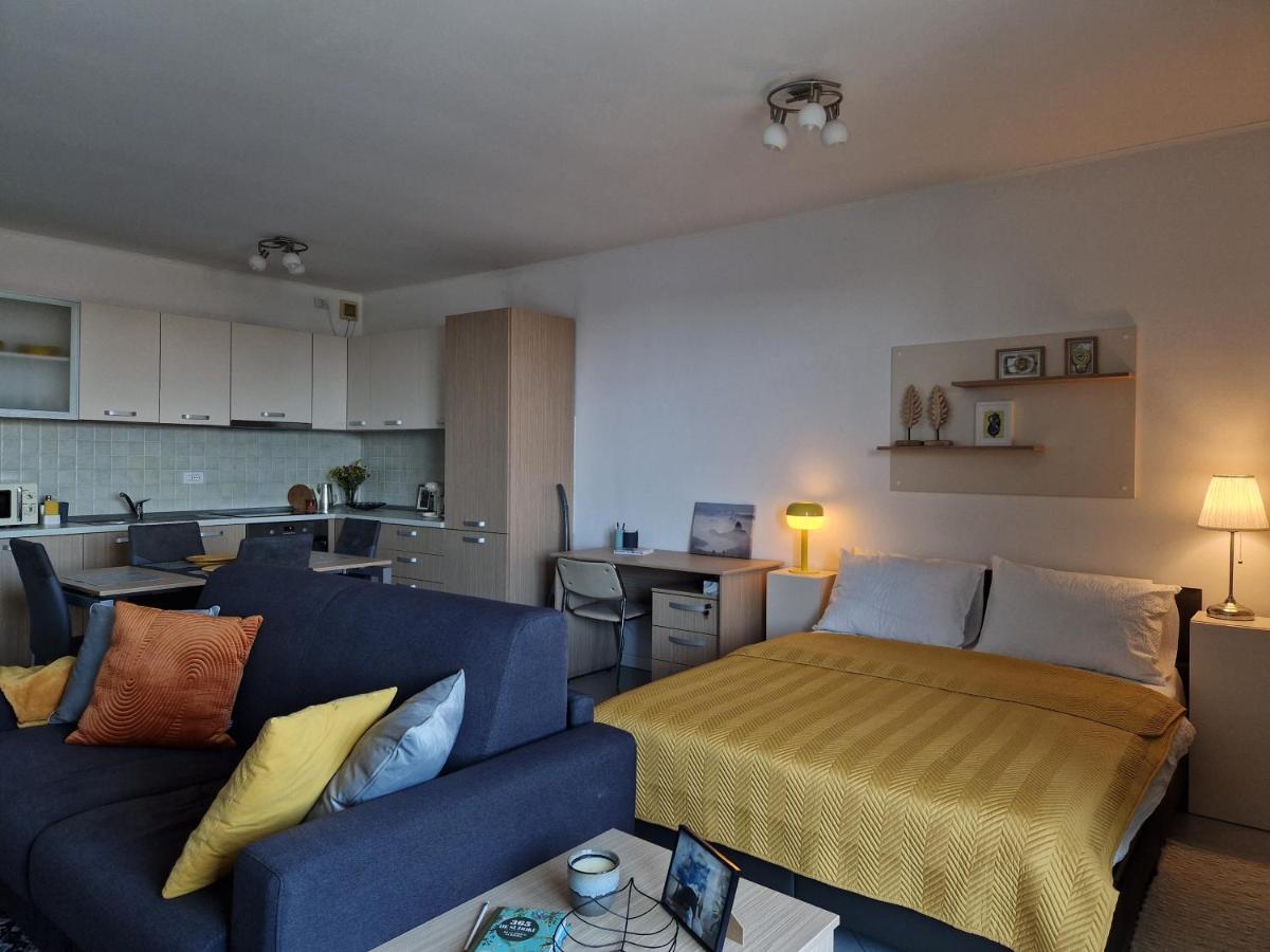 Central Skystudio Apartment Timişoara Exterior foto