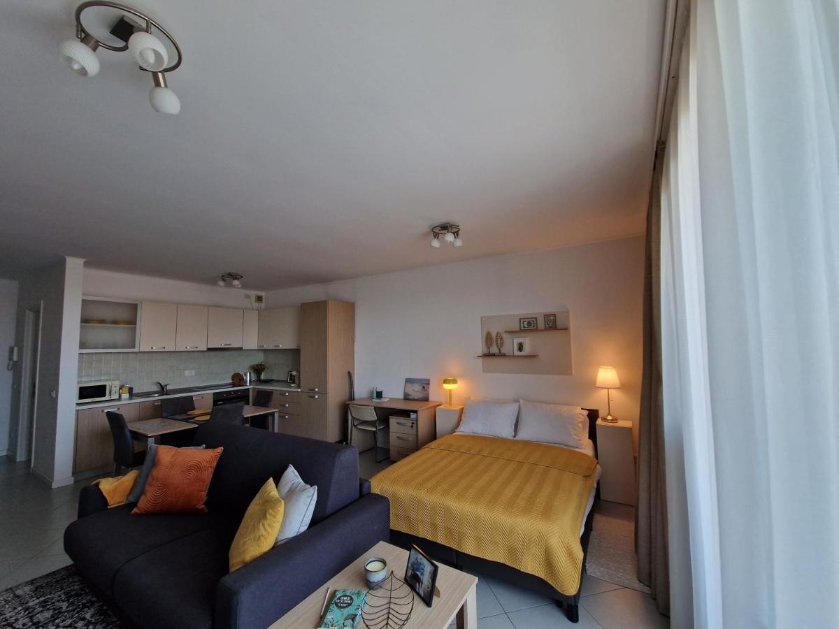 Central Skystudio Apartment Timişoara Exterior foto