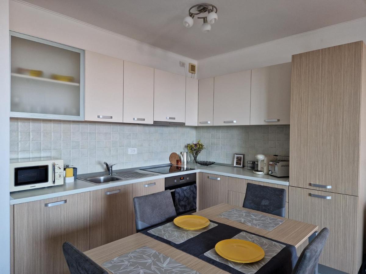 Central Skystudio Apartment Timişoara Exterior foto