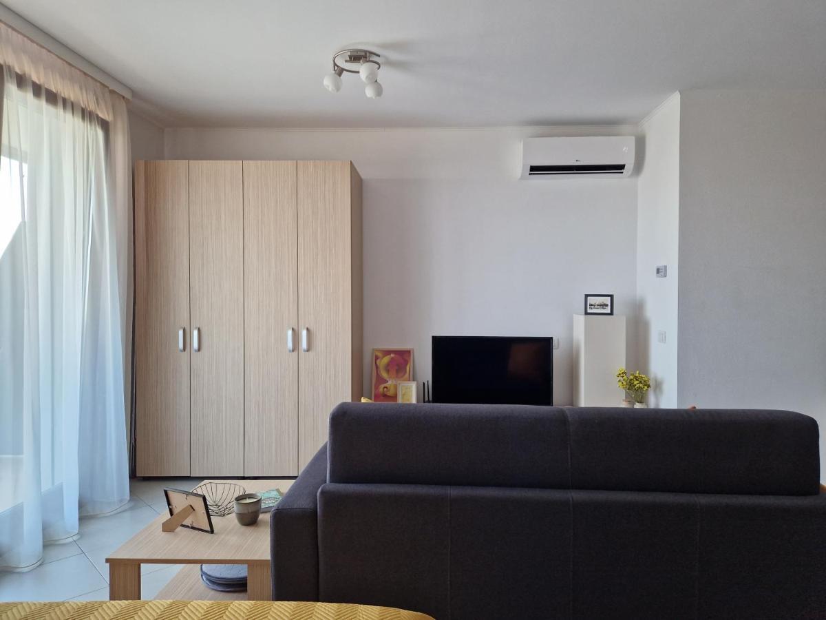 Central Skystudio Apartment Timişoara Exterior foto