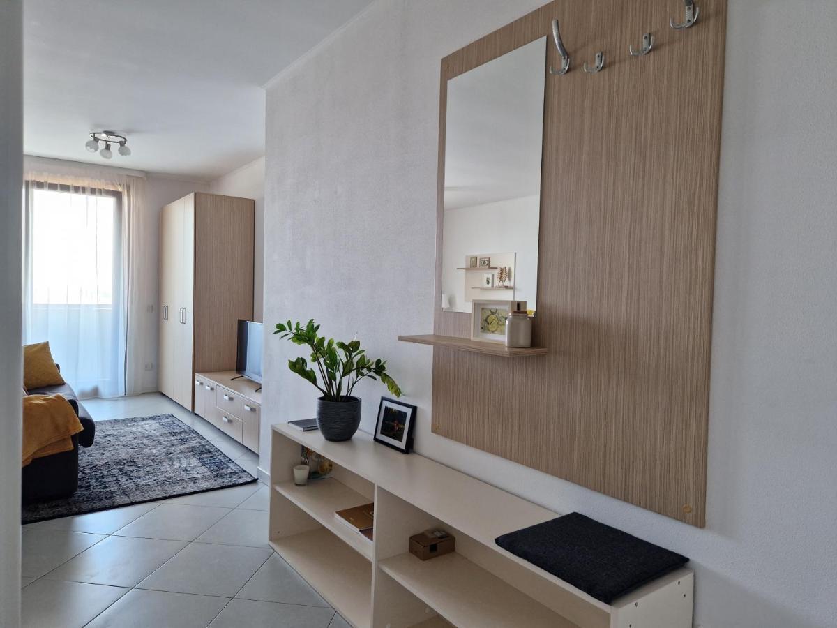 Central Skystudio Apartment Timişoara Exterior foto
