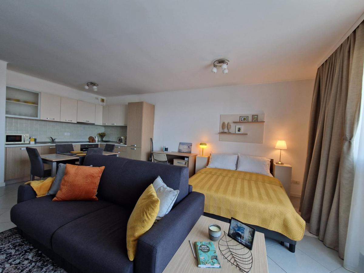 Central Skystudio Apartment Timişoara Exterior foto