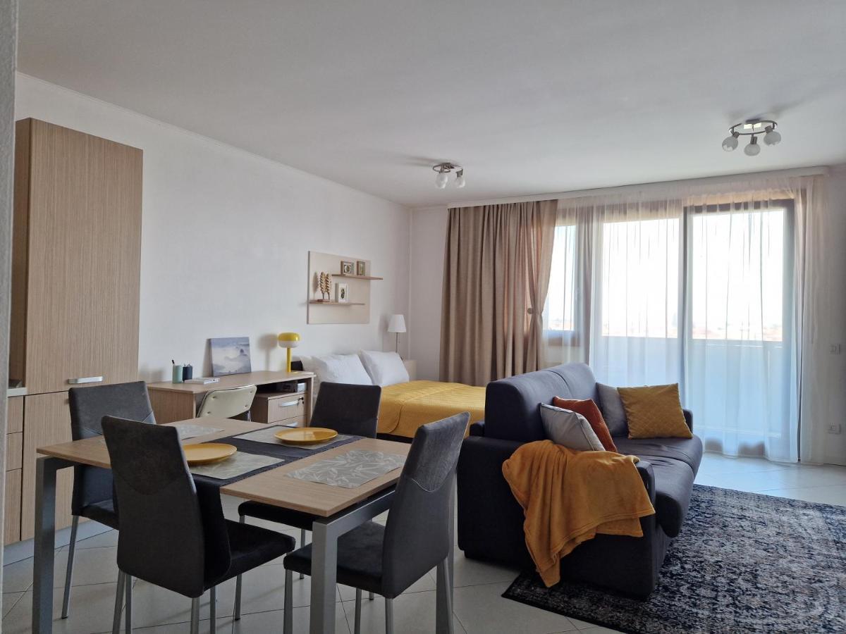 Central Skystudio Apartment Timişoara Exterior foto
